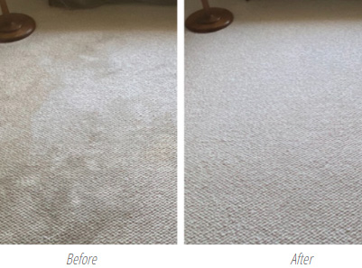 carpet cleaning professional before after